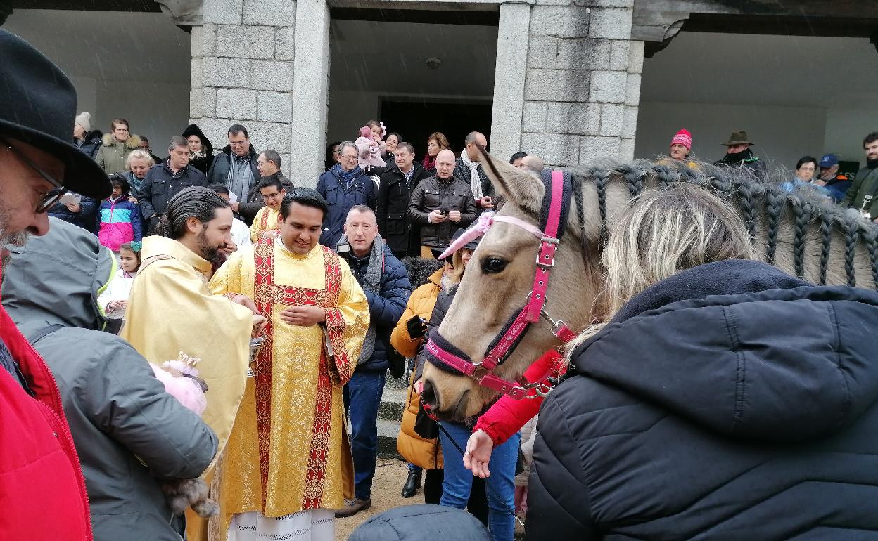 Bendición de un caballo al término de la misa y, a la derecha, exhibición de los cortadores de Valsaín. 