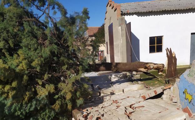 Imagen principal - El árbol dañado y los destrozos que ocasionó su derribo.