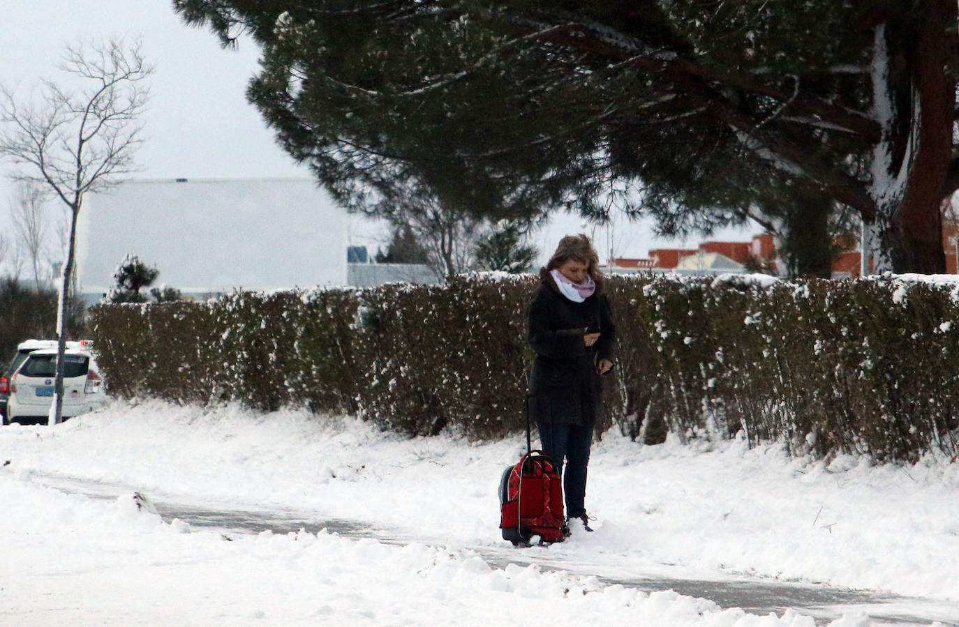 Nevada en Segovia y provincia 