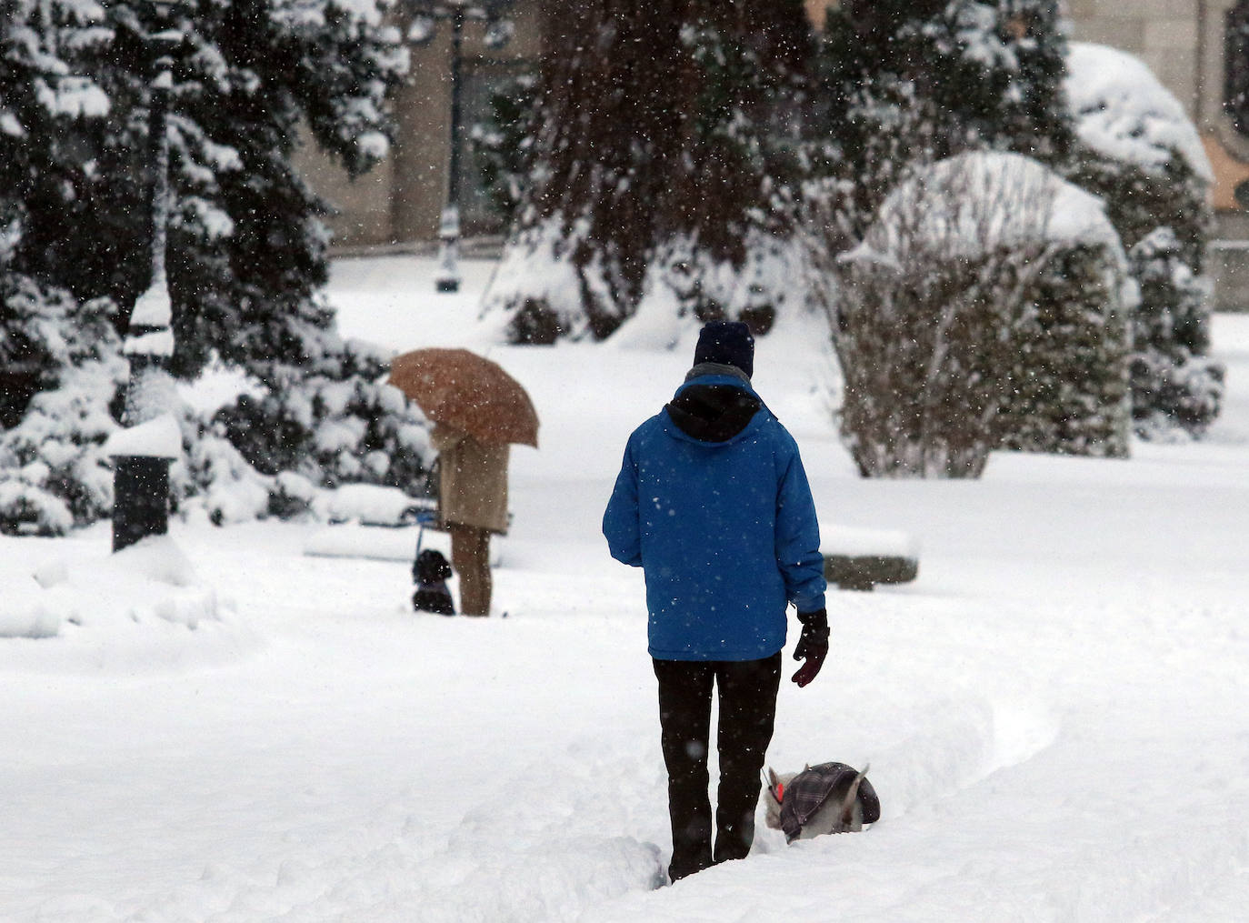 Nevada en Segovia y provincia 