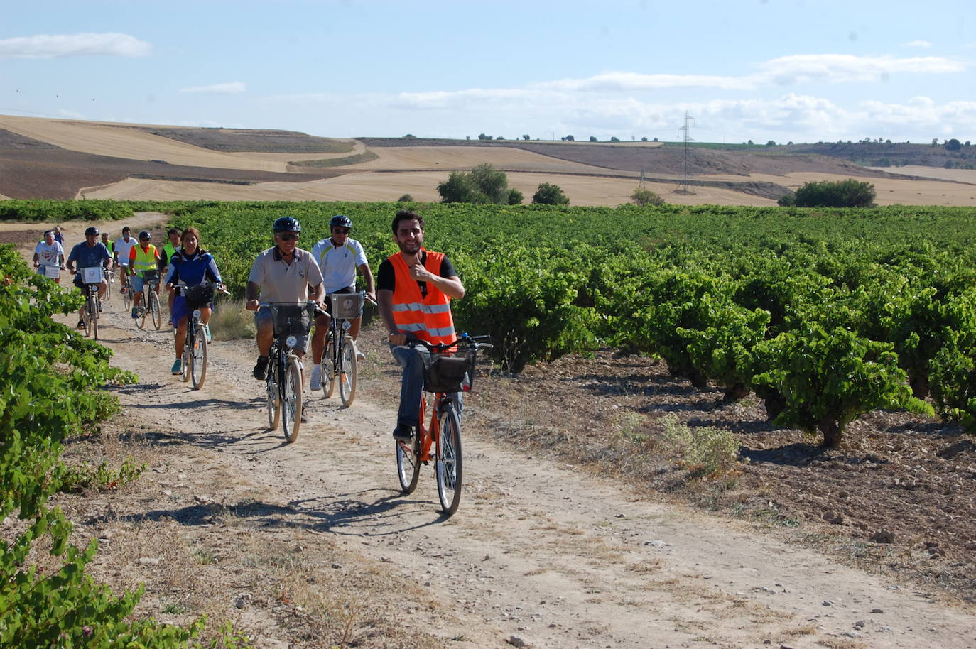 Castilla y León tiene ocho Rutas del Vino oficialmente reconocidas
