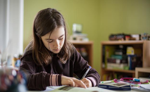 Academía Platerías ayuda y orienta al alumno a superar las dificultades de aprendizaje