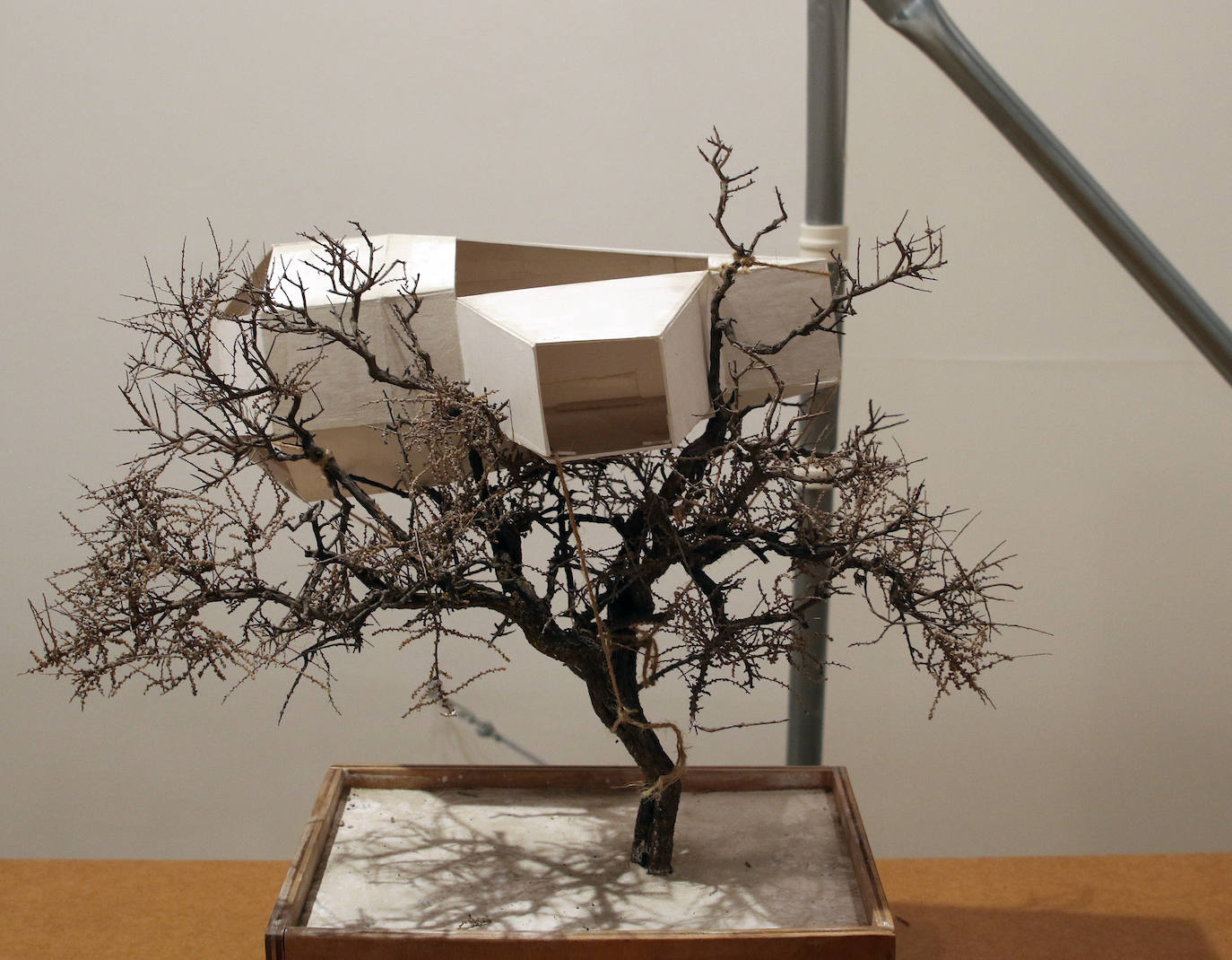 Exposición de José María Yagüe en el Museo Esteban Vicente 