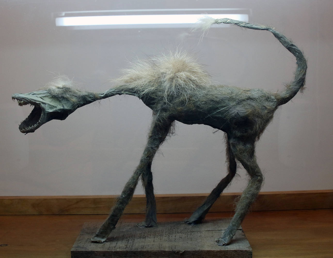 Exposición de José María Yagüe en el Museo Esteban Vicente 