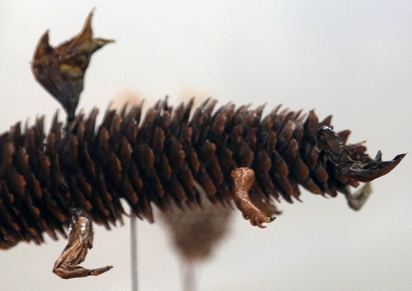 Exposición de José María Yagüe en el Museo Esteban Vicente 