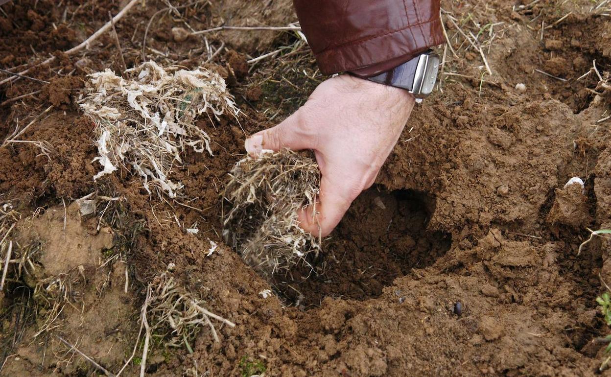 UPA denuncia el primer caso de tularemia en humanos en la provincia de Zamora
