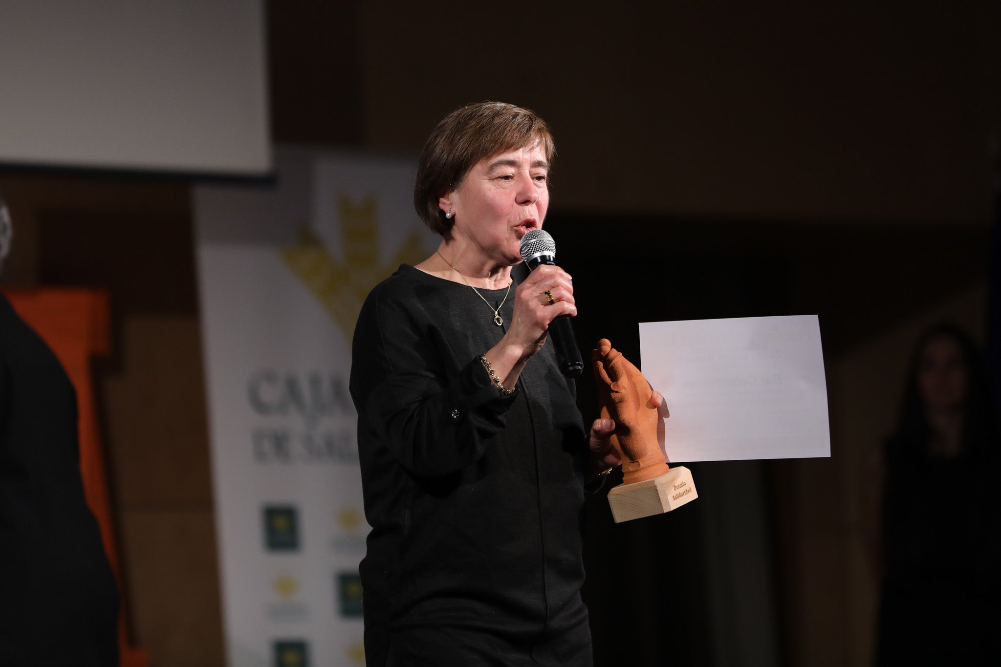 Cruz Roja Salamanca celebró ayer una accidentada XXIV edición de sus Premios Solidaridad. La gala, que fue interrumpida por una alerta de incendio que se quedó en un susto, fue presentada por el periodista y presentador de televisión Javier Gallego.