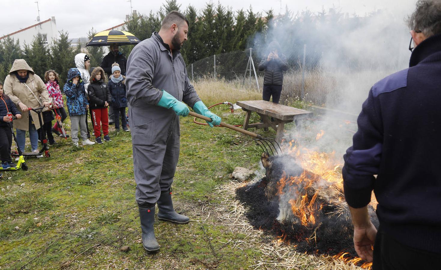 Fiesta de la matanza en Villalobón. 