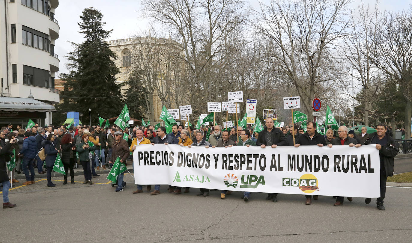 Manifestación por unos precios justos y en defensa del medio rural organizada por Asaja, UPA y Coag..