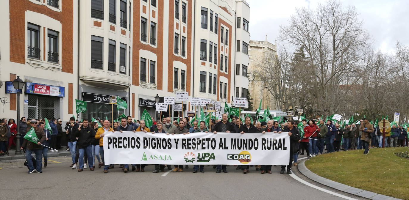 Manifestación por unos precios justos y en defensa del medio rural organizada por Asaja, UPA y Coag..