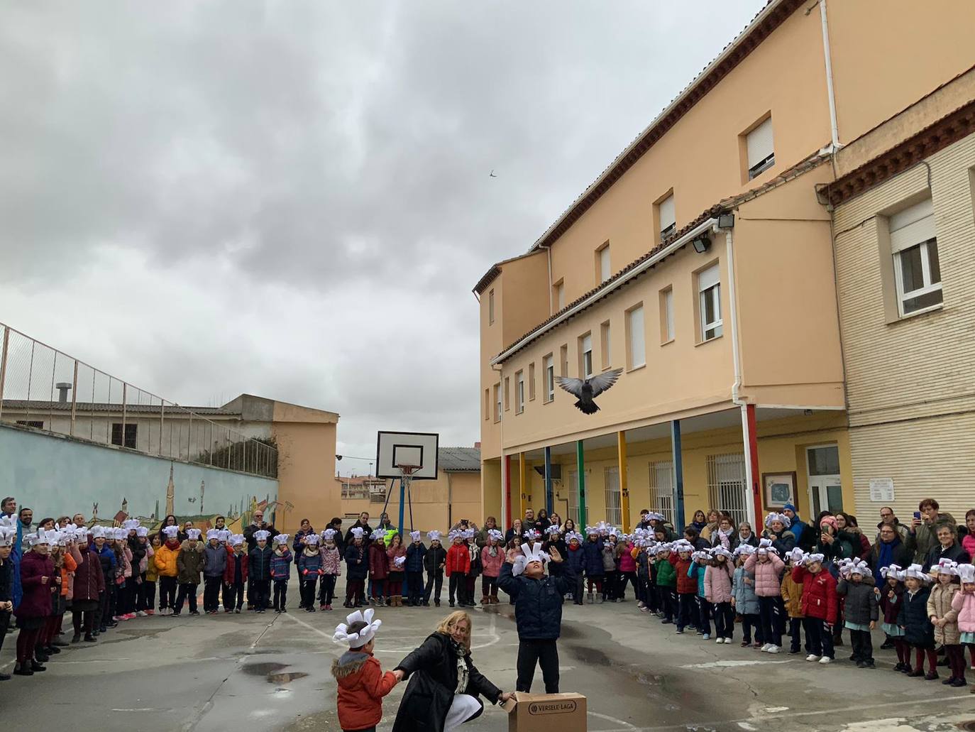 Día de la Paz en colegio San Vicente Paúl de Medina de Rioseco.