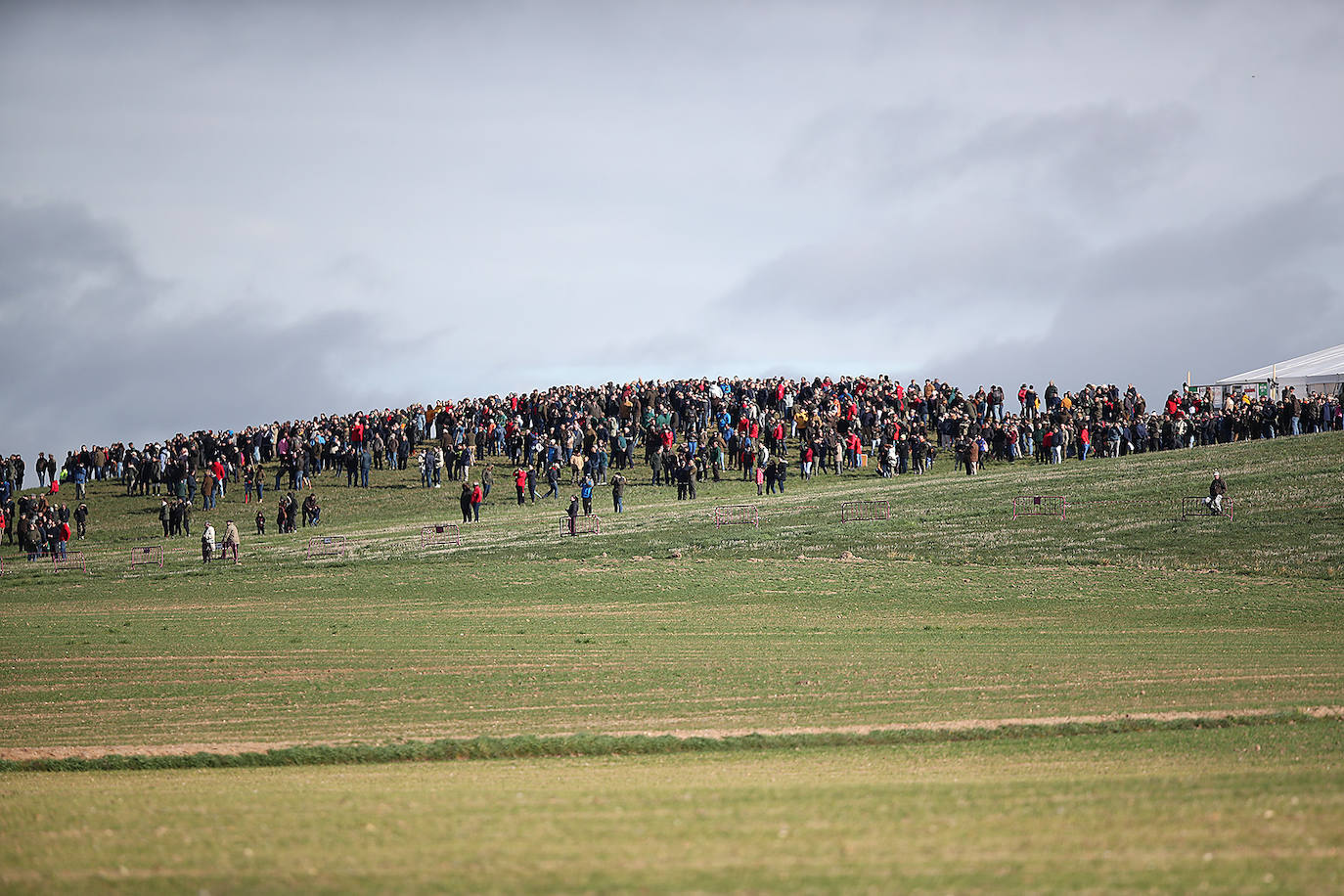 Fotos: El triunfo de Liosa, en imágenes