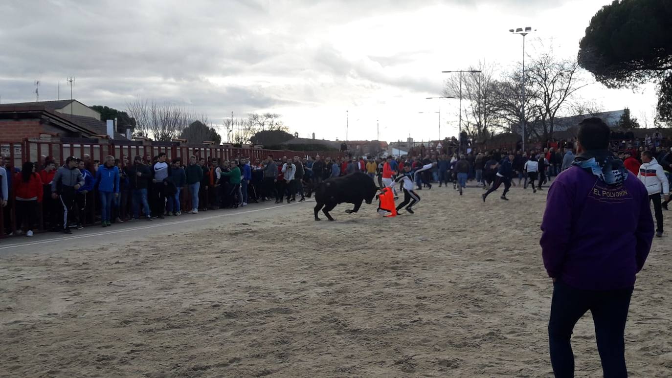 Fotos: El encierro de Viana de Cega, en imágenes