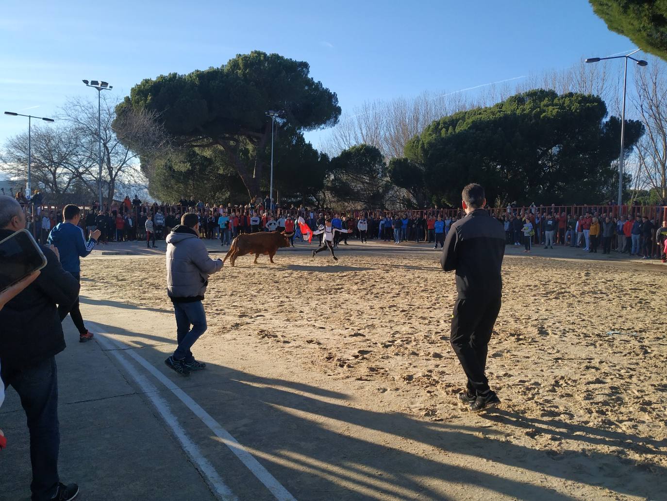 Fotos: El encierro de Viana de Cega, en imágenes