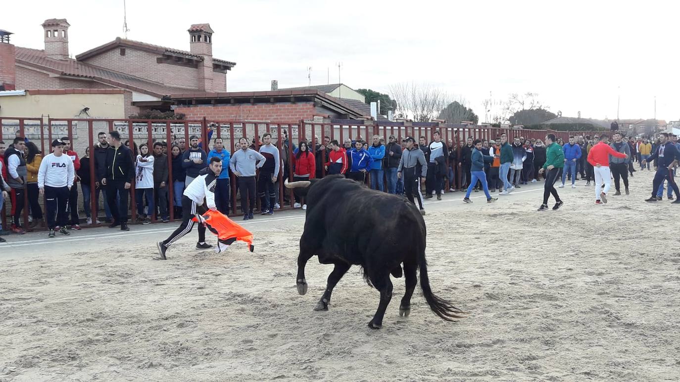 Fotos: El encierro de Viana de Cega, en imágenes