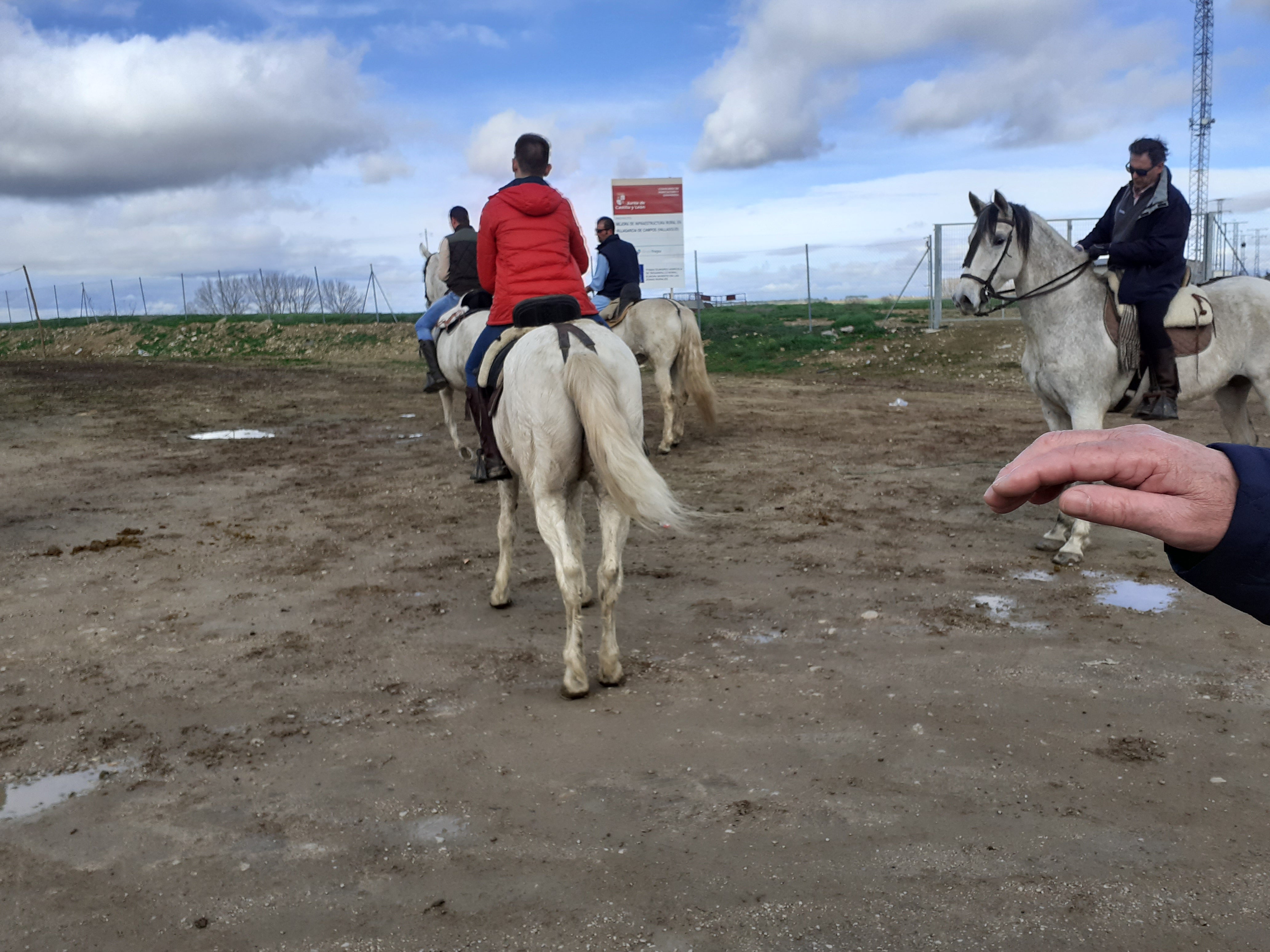 Fotos: Cintas a caballo fiestas de Villagarcía de Campos