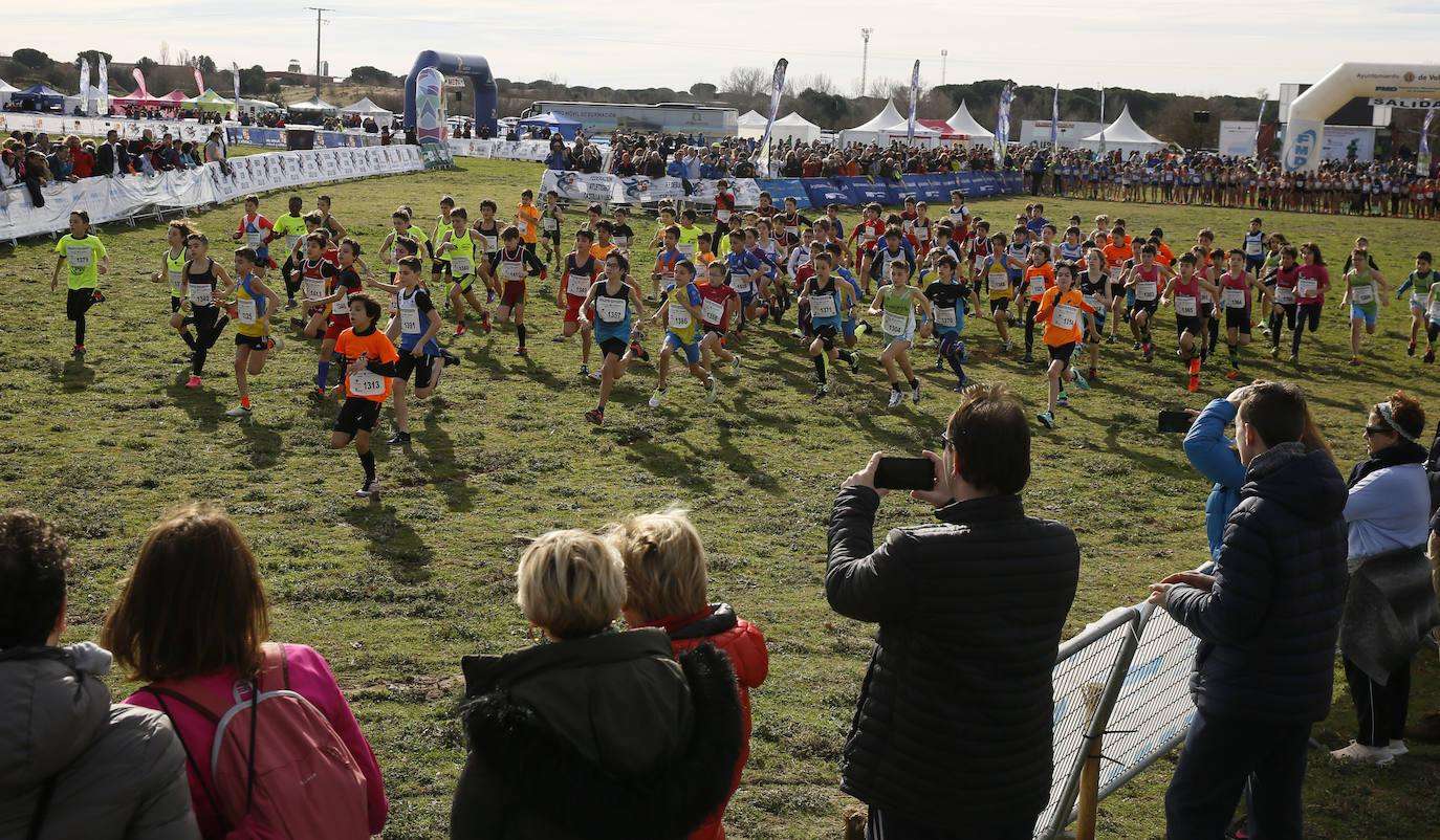 La Cañada Real ha acogido esta mañana el Cross Internacional Ciudad de Valladolid. 