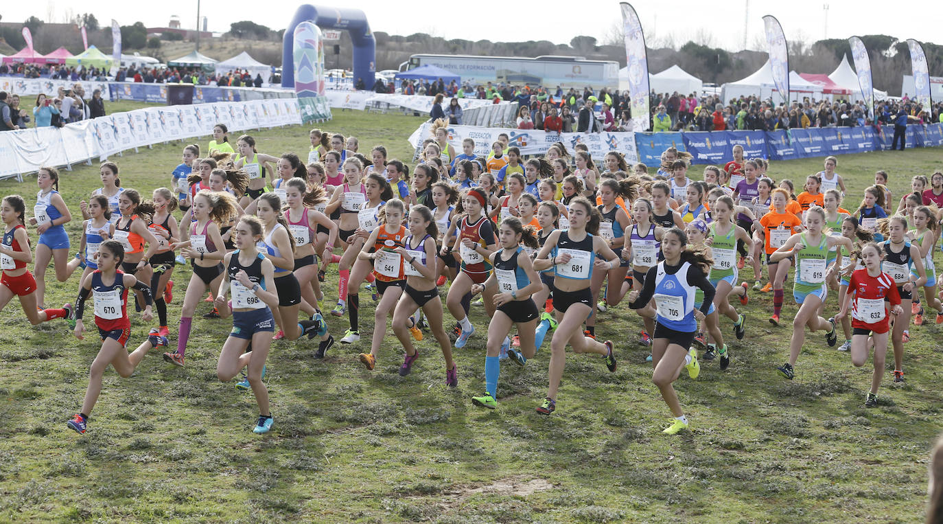 La Cañada Real ha acogido esta mañana el Cross Internacional Ciudad de Valladolid. 