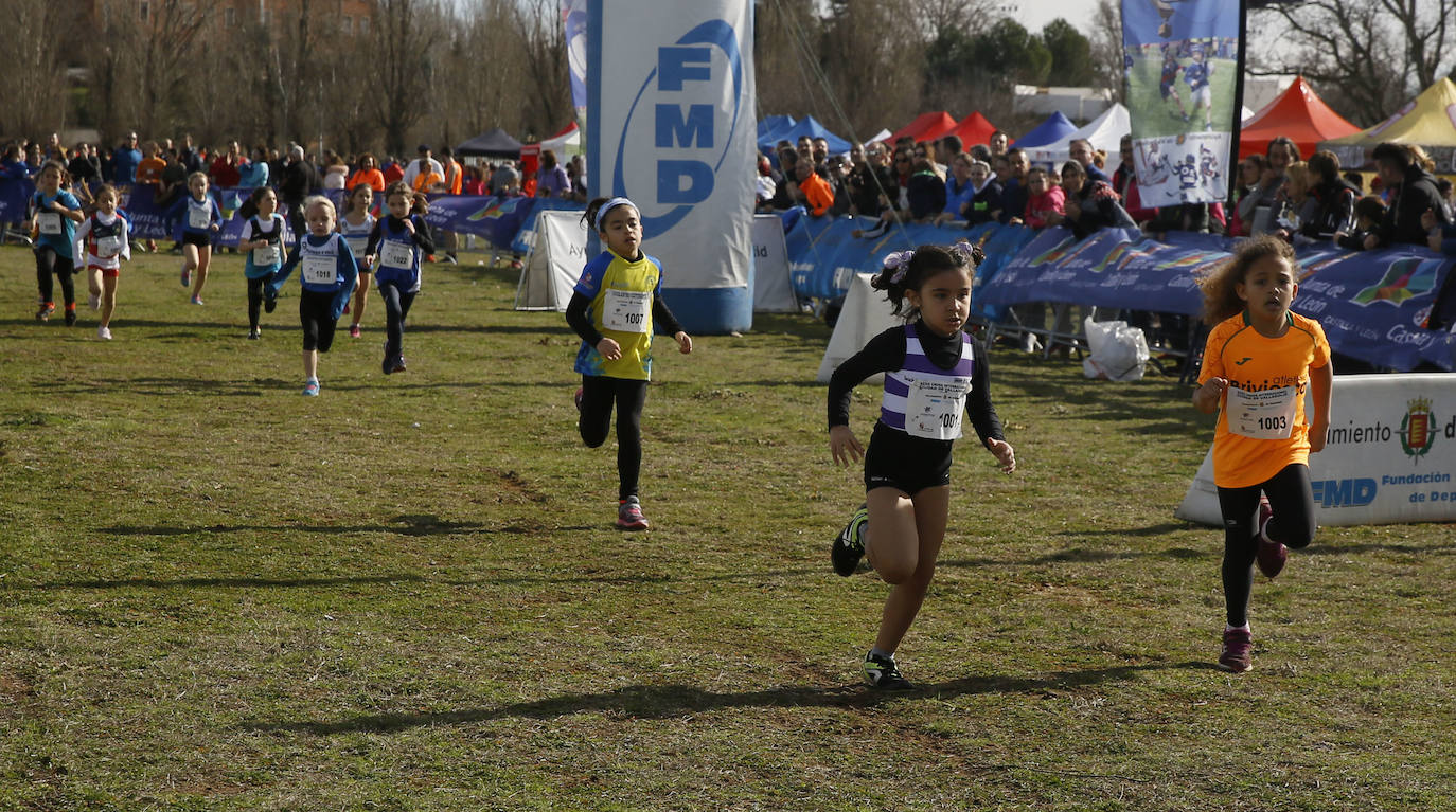 La Cañada Real ha acogido esta mañana el Cross Internacional Ciudad de Valladolid. 