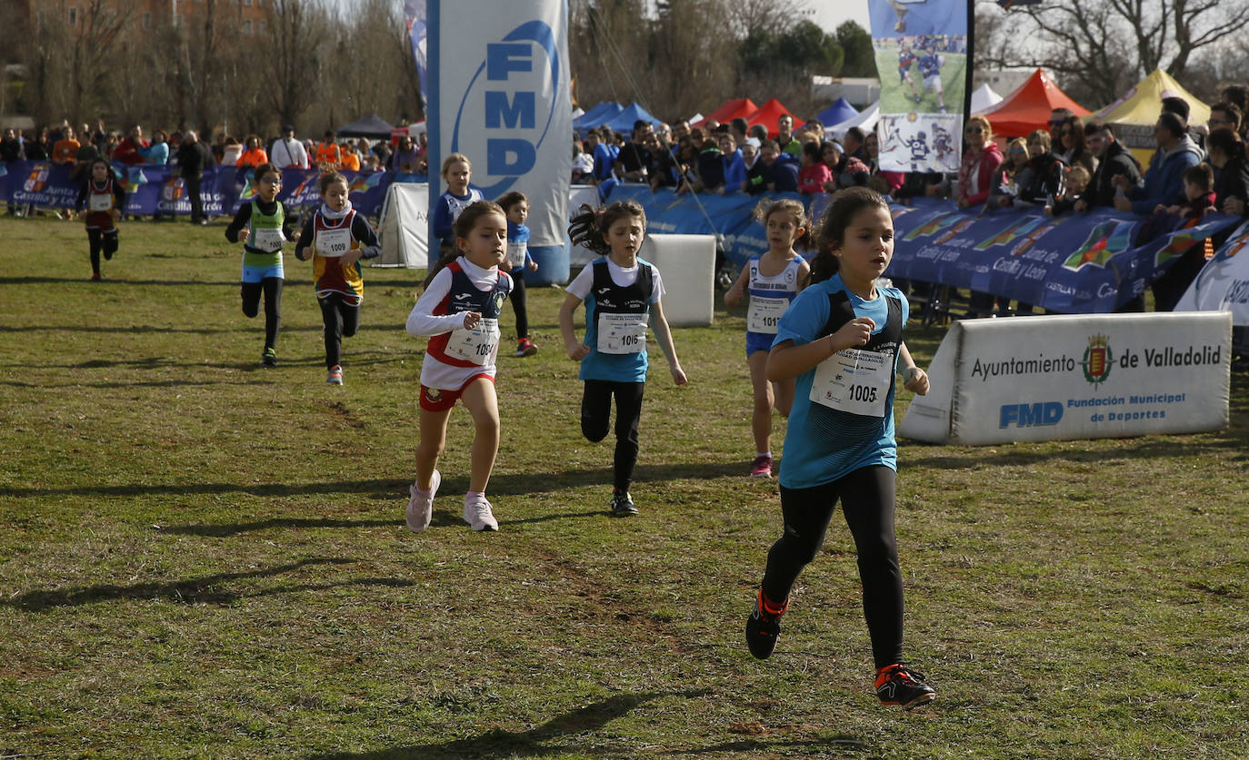 La Cañada Real ha acogido esta mañana el Cross Internacional Ciudad de Valladolid. 