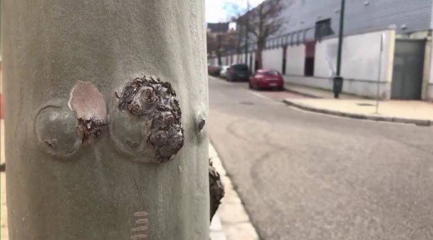 Descubre esta calle de Valladolid. 