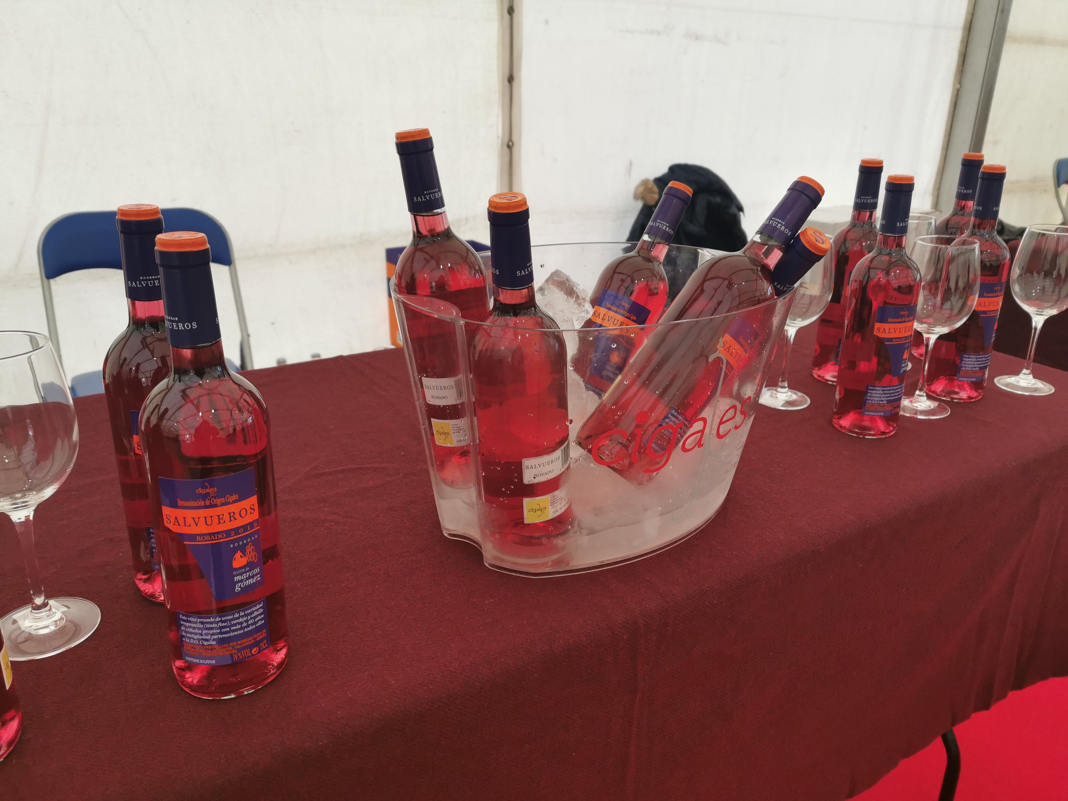 Fotos: Las imágenes de la XII Fiesta del Primer Vino de Mucientes