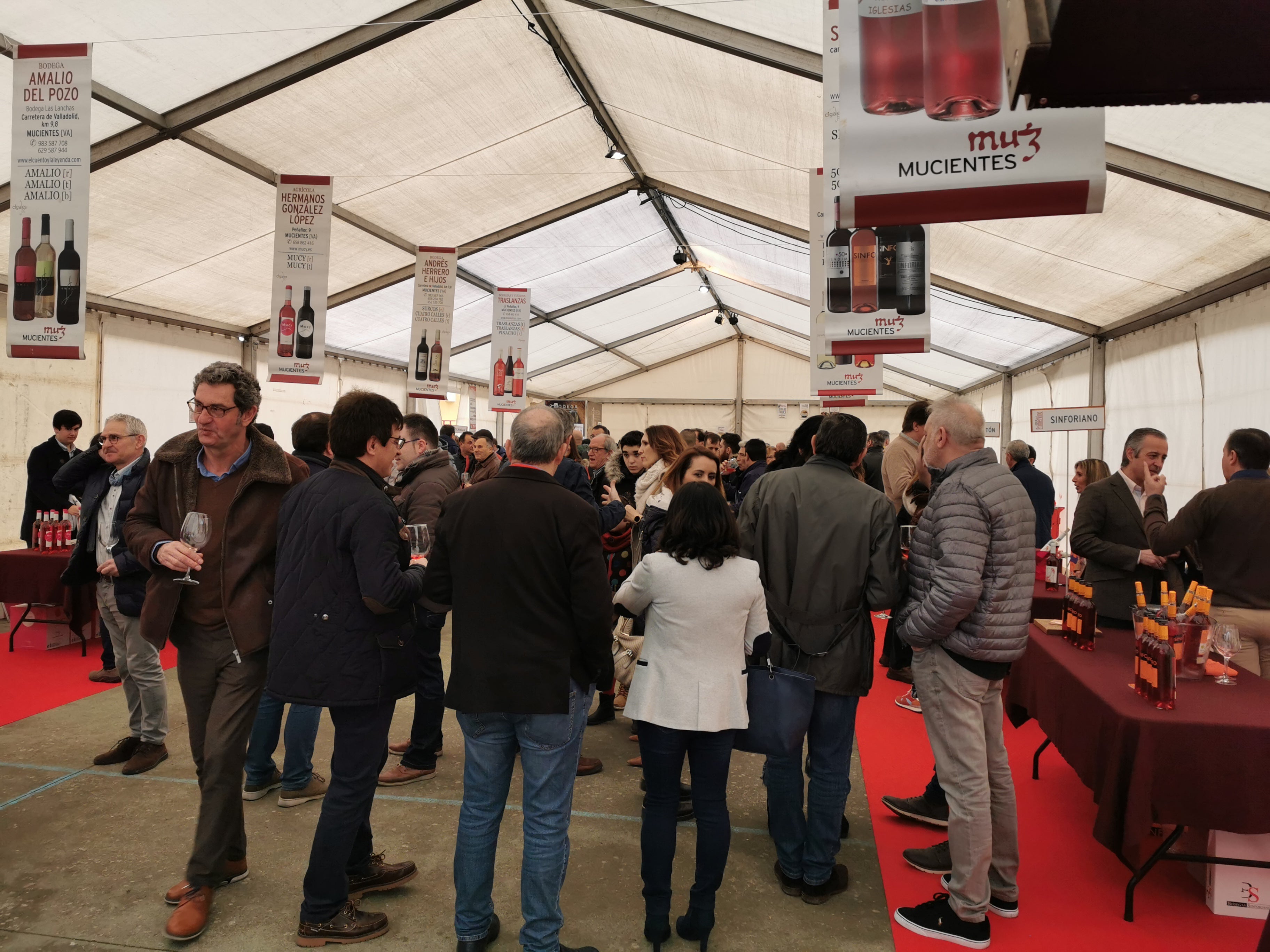 Fotos: Las imágenes de la XII Fiesta del Primer Vino de Mucientes