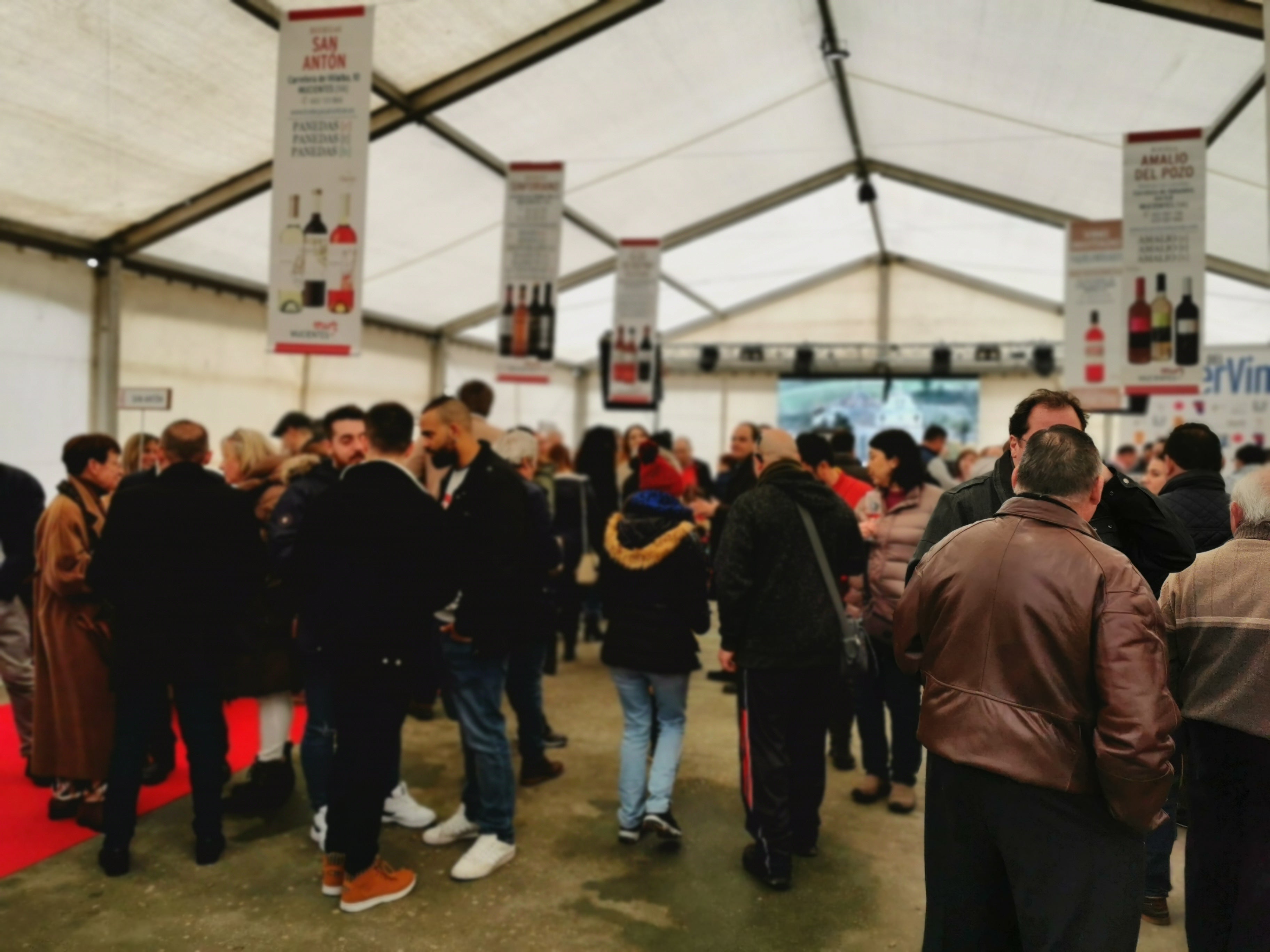 Fotos: Las imágenes de la XII Fiesta del Primer Vino de Mucientes