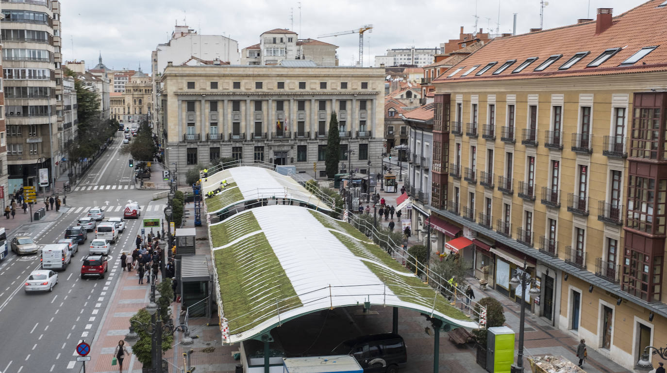 El proyecto europeo URBAN GreenUP, coordinado por el Centro Tecnológico CARTIF, pone en marcha las obras de renaturalización de la marquesina de la Plaza España de Valladolid.