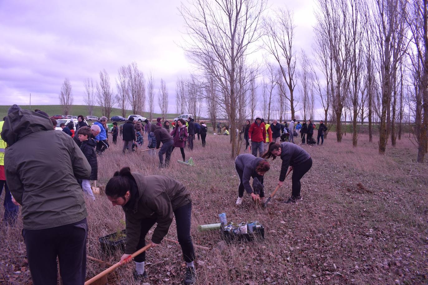 Fotos: La replantación de Villacid y Cuenca de Campos