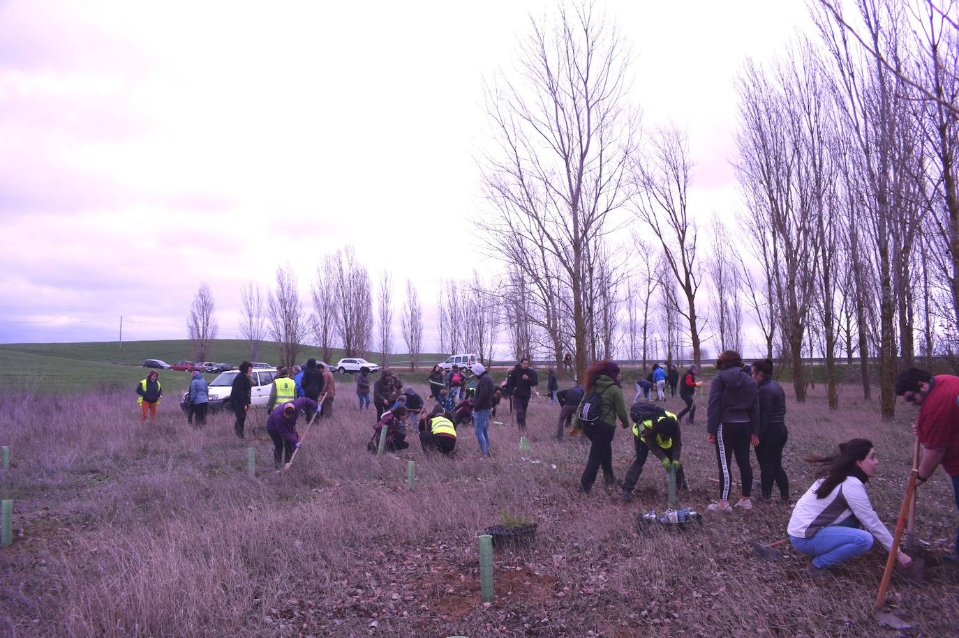 Fotos: La replantación de Villacid y Cuenca de Campos