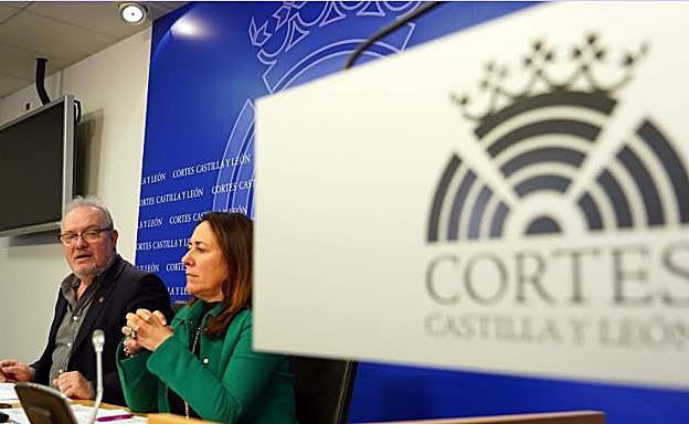 Los procuradores socialistas José Francisco Martín y Rosa Rubio, parlamentarios que se encargan de las iniciativas tributarias y presupuestarias en la bancada del PSOE.