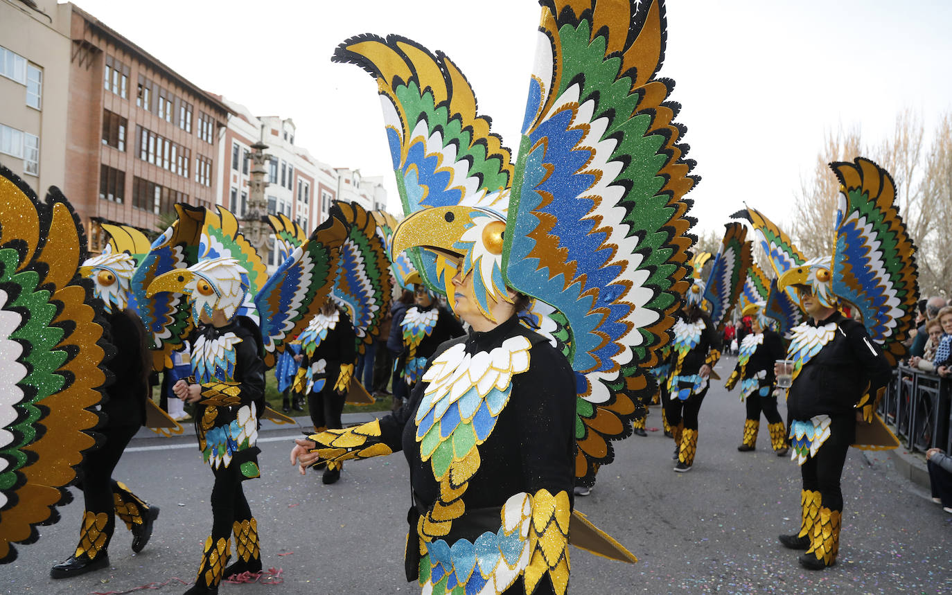 Palencia vibra con su carnaval. 