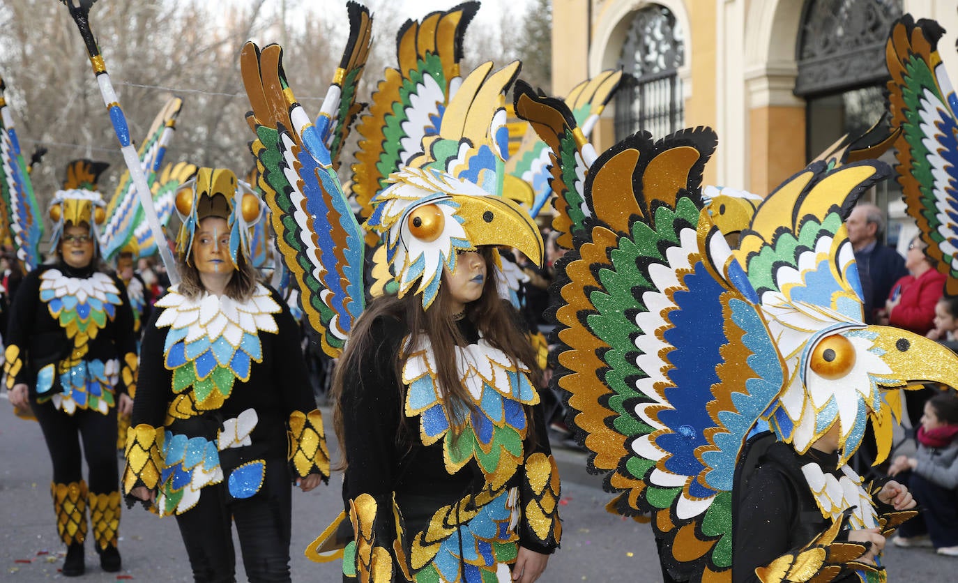 Palencia vibra con su carnaval. 