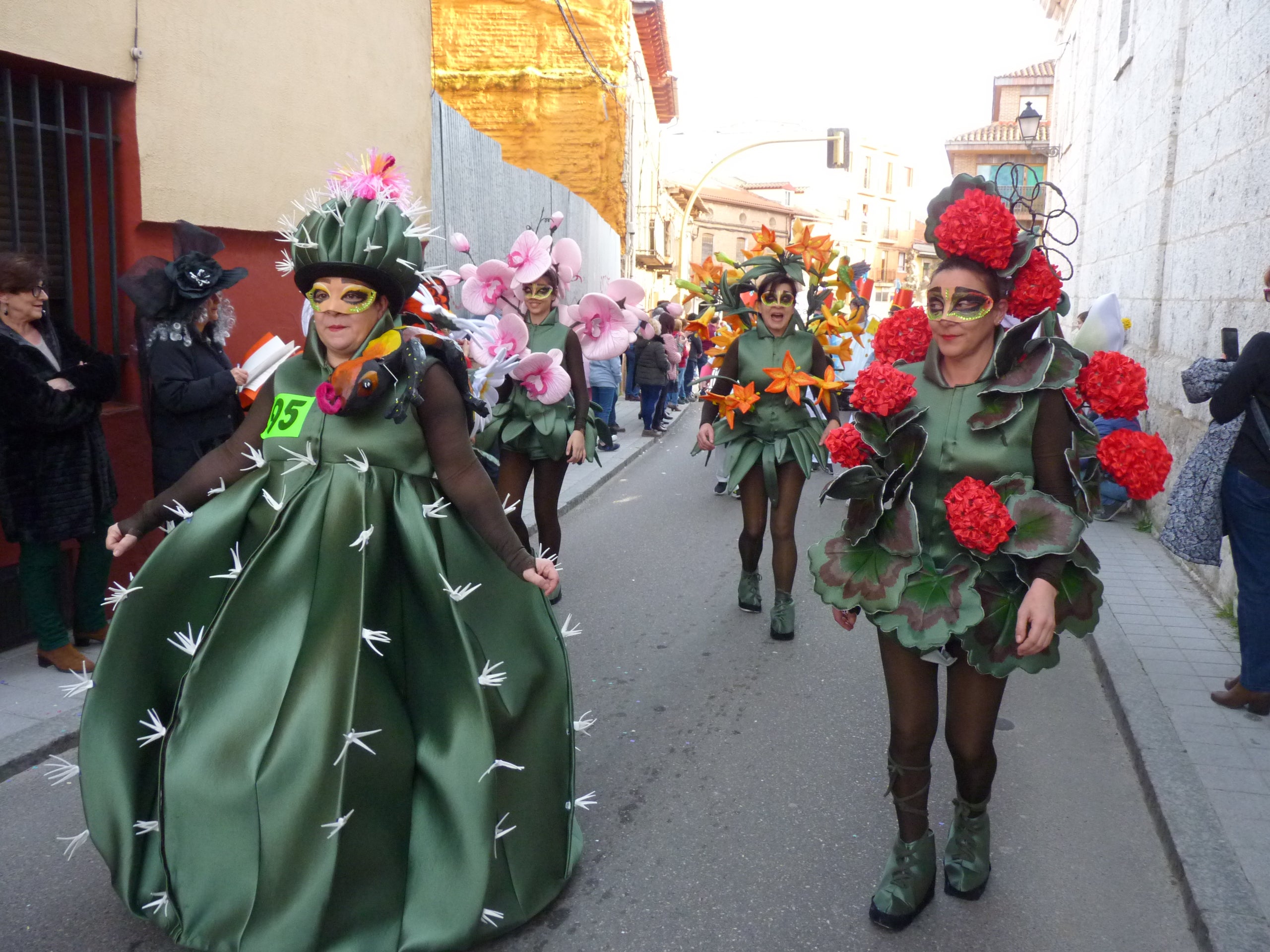 Fotos: ¿Quieres verte en las fotos del Carnaval de Tudela? ¡Pincha aquí!