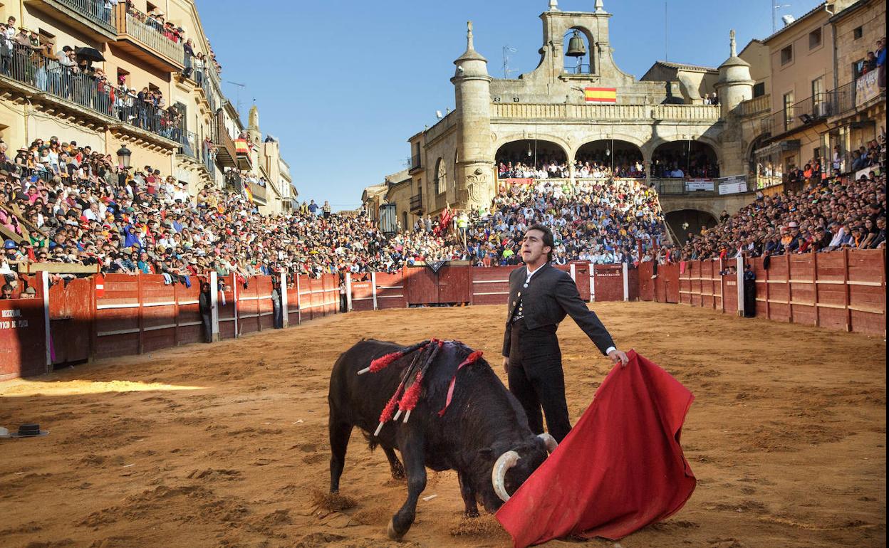 El Fandi mirando al tendido en uno de sus pases. 