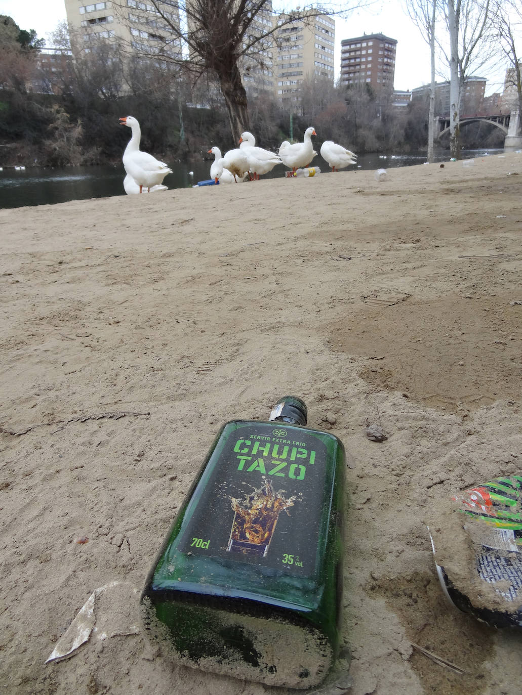 Restos del botellón de carnaval realizado por los jóvenes de la ciudad en el entorno de Las Moreras y La Rosaleda han dejado numerosos desperfectos y además, grandes cantidades de basura