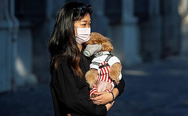 Una mujer y su perro pasean por la ciudad china de Cantón protegidos con una mascarilla. 