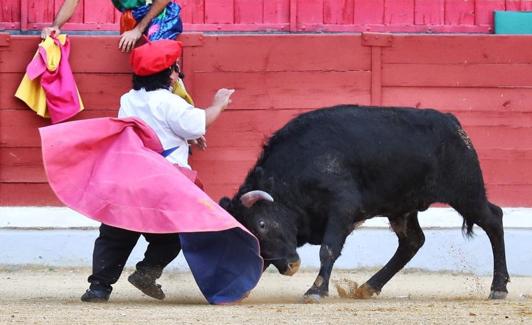 Espectáculo taurino de Diversiones en el Ruedo. 