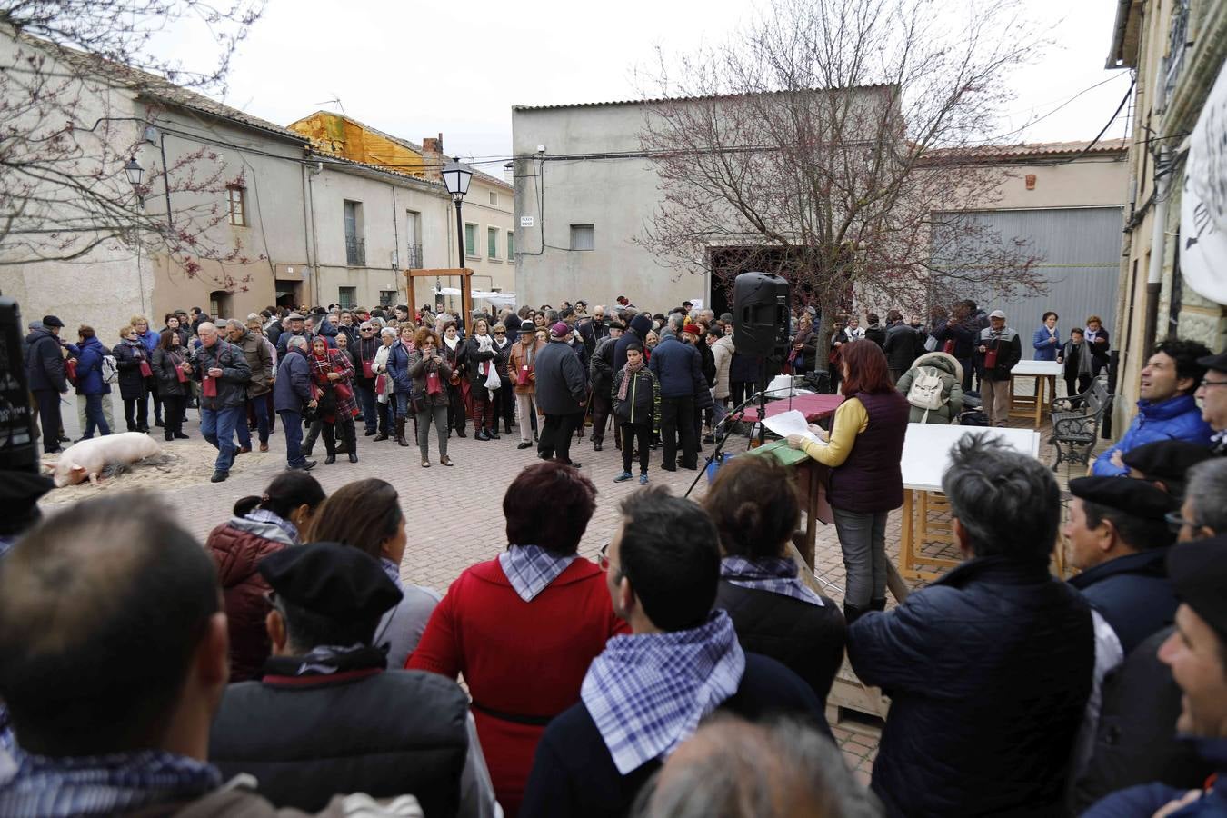 Fiesta de la matanza del Valle del Cuco. 