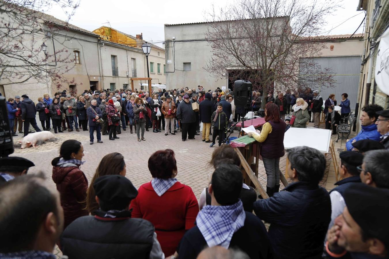 Fiesta de la matanza del Valle del Cuco. 