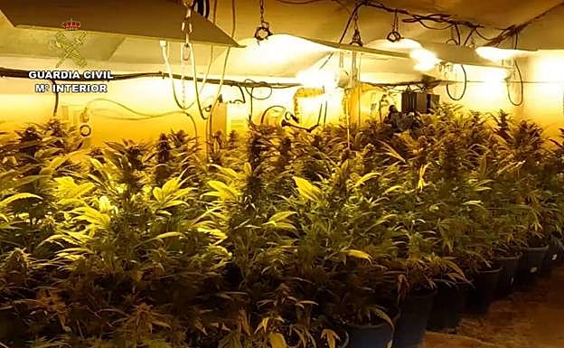 Galería. Imágenes de la operación.