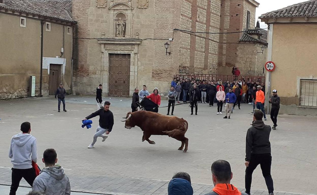 El Toro de Carnaval. 