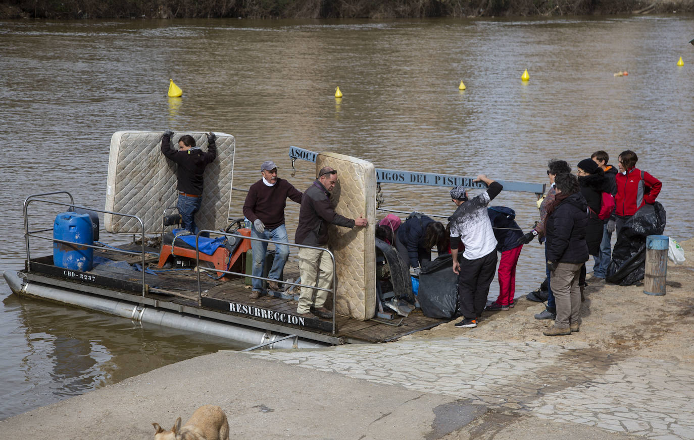 Cincuenta voluntarios se han unido este sábado a la asociación Amigos del Pisuerga para limpiar las riberas del río.