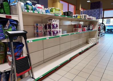 Imagen secundaria 1 - El espacio destinado a las cajas de leche, vacío en un gran superficie de la capital vallisoletana. Abajo a la izquierda, el estante del papel higiénico, casi vacío, en un supermercado del polígono de Argales y Varios operarios reabastecen el aceite en otro supermercado del barrio de Parquesol. 