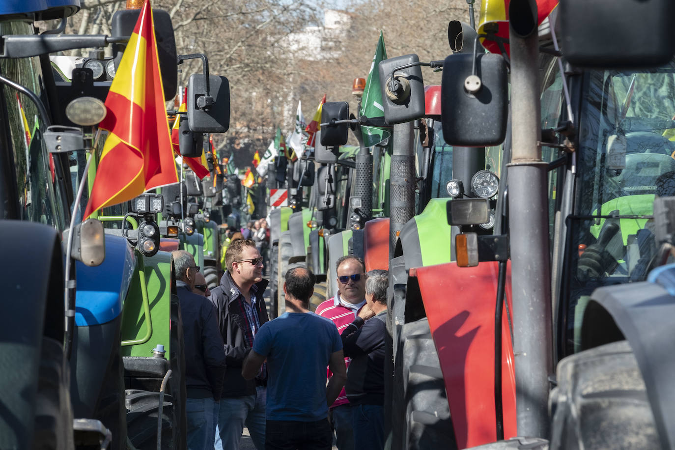 Las organizaciones agrarias UCCL, Asaja y COAG lograron concitar un millar de tractores y un millar de personas, de acuerdo a fuentes policiales, a su paso entre bocinazos por las calles de Valladolid, desde Colón hasta la Cúpula del Milenio, lo cual supuso un 'sorpasso' a sus previsiones (entre 200 y 400) y un «éxito absoluto» para que la sociedad visibilizara, y sobre todo oyera, el problema que tiene el campo.