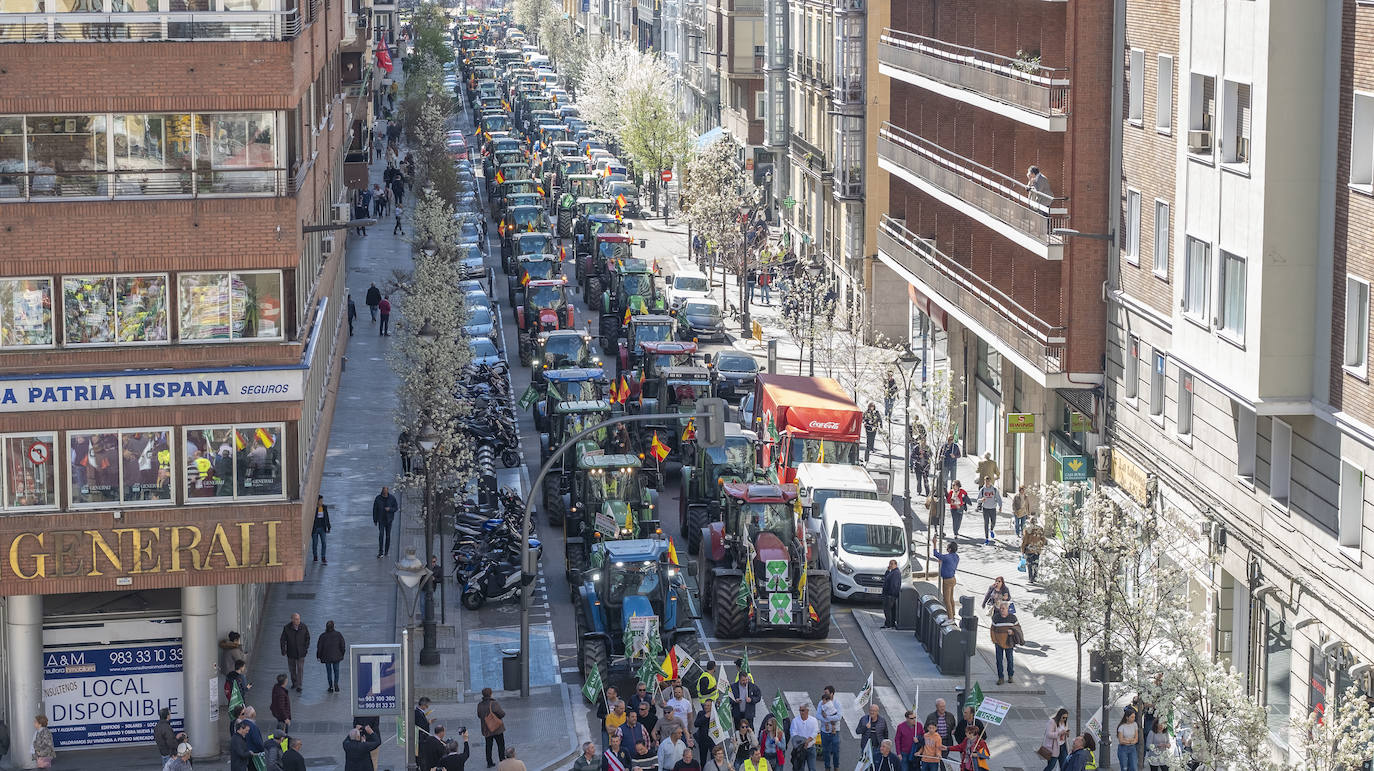 Las organizaciones agrarias UCCL, Asaja y COAG lograron concitar un millar de tractores y un millar de personas, de acuerdo a fuentes policiales, a su paso entre bocinazos por las calles de Valladolid, desde Colón hasta la Cúpula del Milenio, lo cual supuso un 'sorpasso' a sus previsiones (entre 200 y 400) y un «éxito absoluto» para que la sociedad visibilizara, y sobre todo oyera, el problema que tiene el campo.