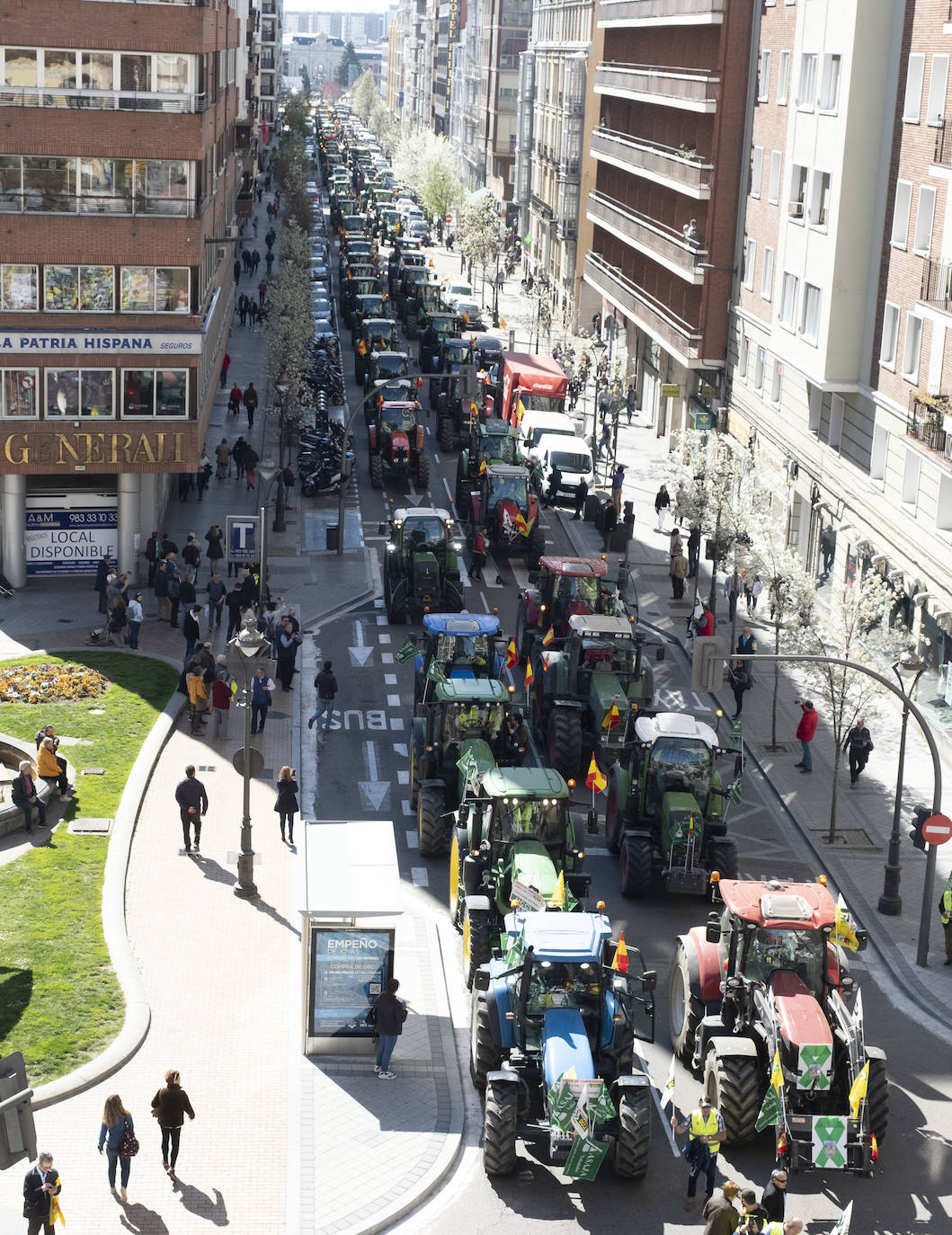 Las organizaciones agrarias UCCL, Asaja y COAG lograron concitar un millar de tractores y un millar de personas, de acuerdo a fuentes policiales, a su paso entre bocinazos por las calles de Valladolid, desde Colón hasta la Cúpula del Milenio, lo cual supuso un 'sorpasso' a sus previsiones (entre 200 y 400) y un «éxito absoluto» para que la sociedad visibilizara, y sobre todo oyera, el problema que tiene el campo.