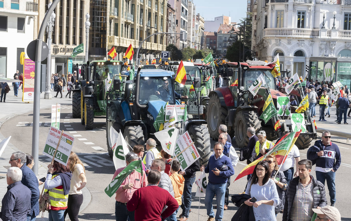 Las organizaciones agrarias UCCL, Asaja y COAG lograron concitar un millar de tractores y un millar de personas, de acuerdo a fuentes policiales, a su paso entre bocinazos por las calles de Valladolid, desde Colón hasta la Cúpula del Milenio, lo cual supuso un 'sorpasso' a sus previsiones (entre 200 y 400) y un «éxito absoluto» para que la sociedad visibilizara, y sobre todo oyera, el problema que tiene el campo.