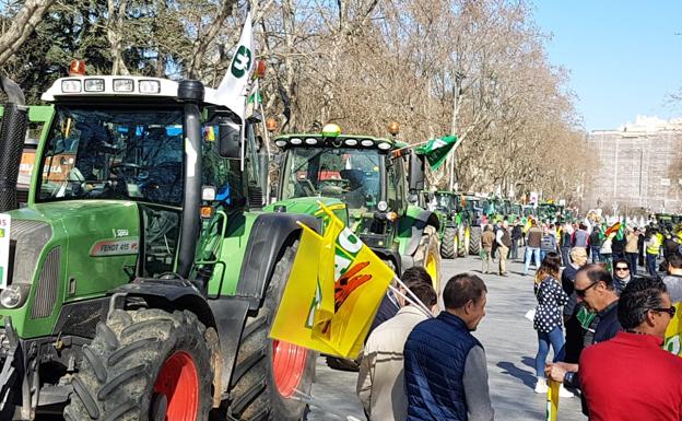 Los tractores llegan a la capital vallisoletana.